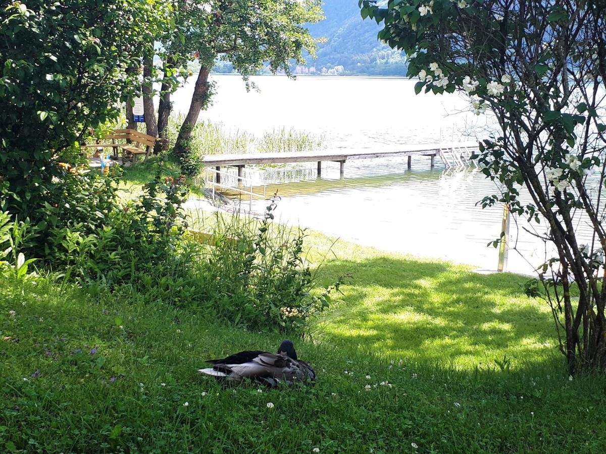 Maren Seeblick Appartement Haus Haensel&Gretel Direkt Am Ossiacher See Mit Hallenbad Skiarena Gerlitzen Stiegl Luaran gambar